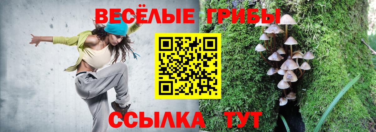Галлюциногенные грибы ЛСД Малгобек