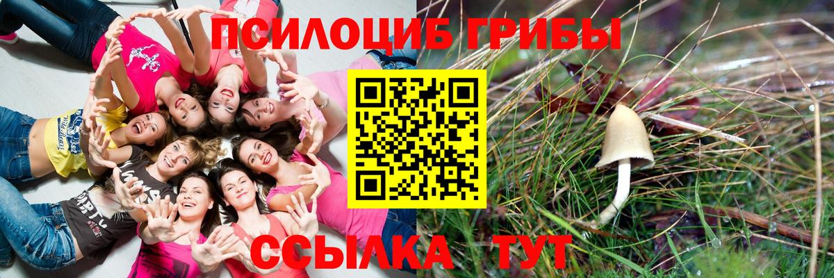 Codein Малгобек