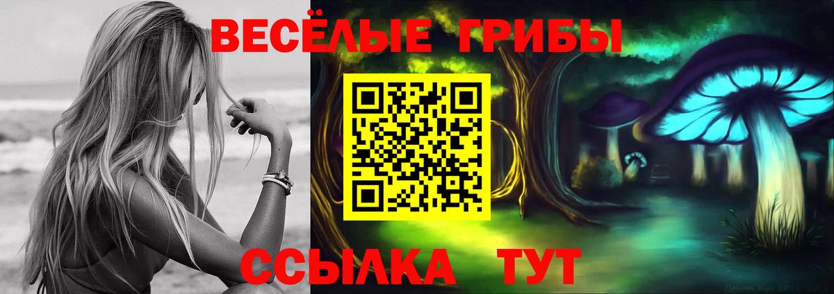 Псилоцибиновые грибы Psilocybe  Вход с VPN  Малгобек 